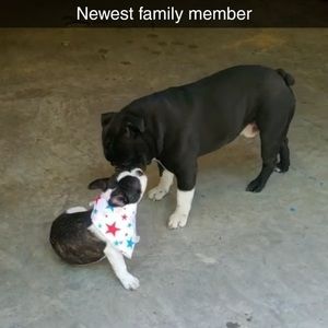 Meet your Posher, Taylor